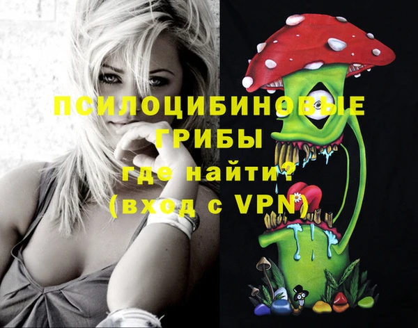 спайс Ельня