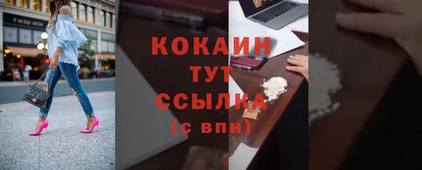 кокс Елизово
