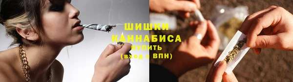 спайс Ельня