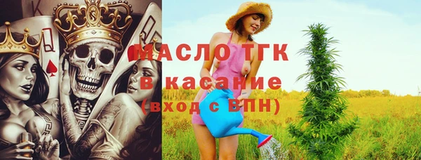 спайс Ельня