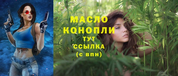 кокс Елизово