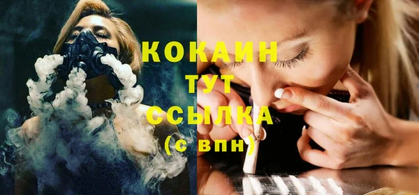 кокс Елизово