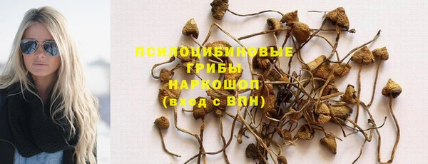 кокс Дмитров