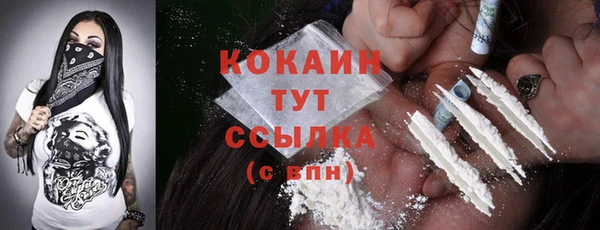 спайс Ельня