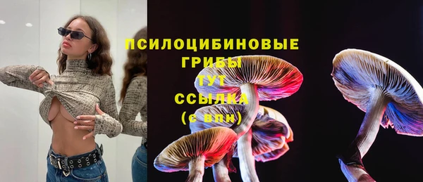 спайс Ельня