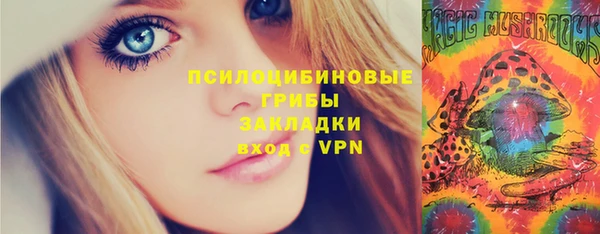 кокс Елизово