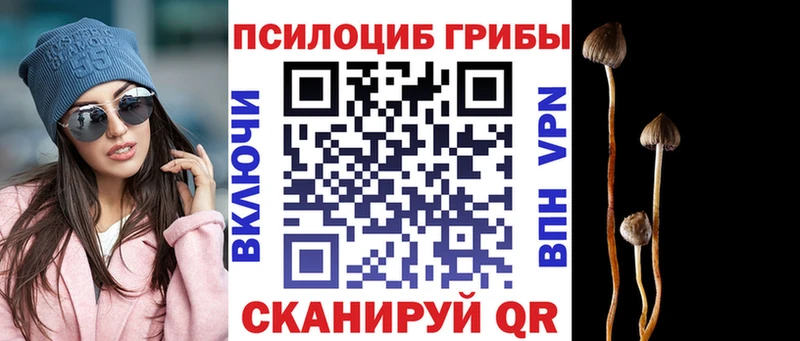 omg рабочий сайт  Саратов  Псилоцибиновые грибы ЛСД 