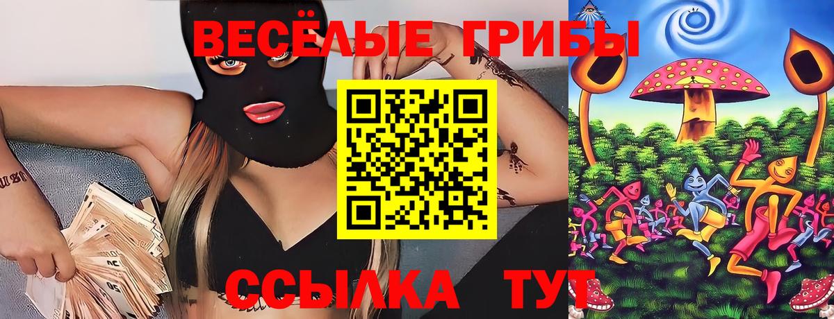 Псилоцибиновые грибы Cubensis  Псилоцибиновые грибы ЛСД  Вход с VPN  Саратов 